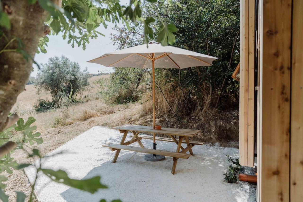 Monte Roberto Agriturismo Qui Voglio מראה חיצוני תמונה