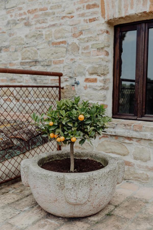 Monte Roberto Agriturismo Qui Voglio מראה חיצוני תמונה
